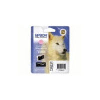Epson Singlepack Vivid Light Magenta T096640 (C13T09664020)